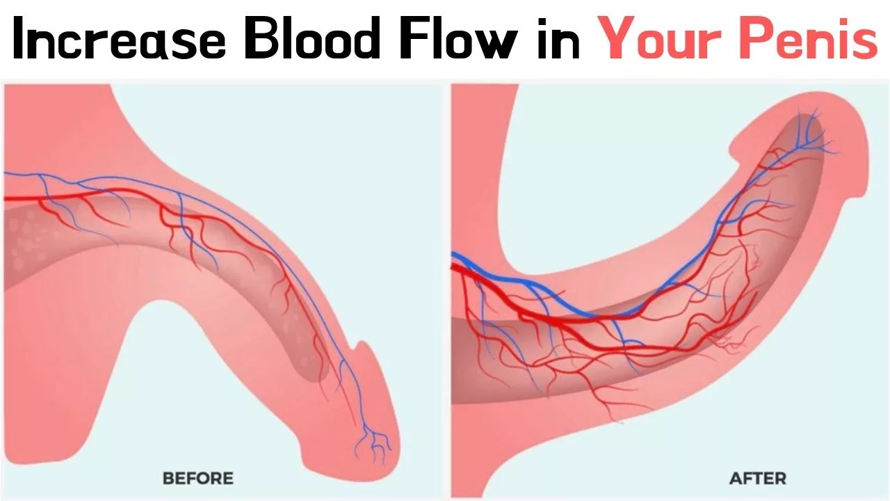 increase blood flow in penis