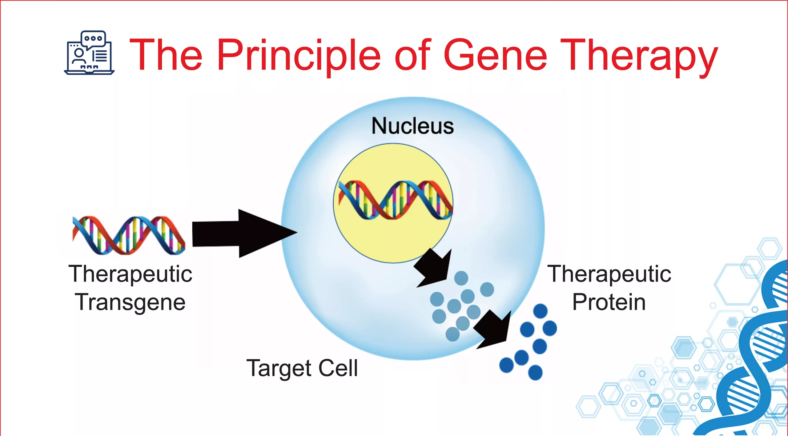 Gene Therapy for ed