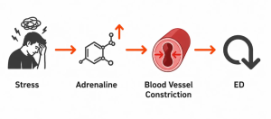 Performance anxiety creates a physiological response, not just a mental one. Adrenaline directly opposes the blood vessel relaxation required for erections.